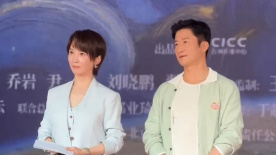 欧美一区二区三区成人久久片